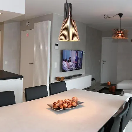 In With Large Terrace Lejlighed