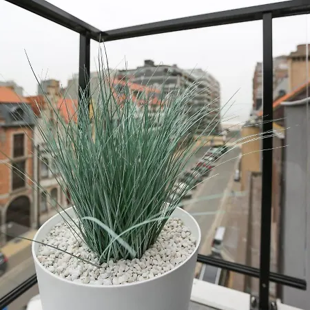 In With Large Terrace *